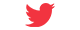 twitter-icon